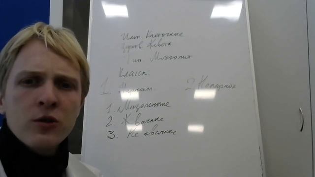 Парнокопытные. Непарнокопытные. смотреть онлайн