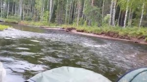 Аэролодка Берег 550