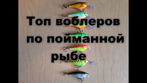 Топ воблеров по объему пойманной рыбы