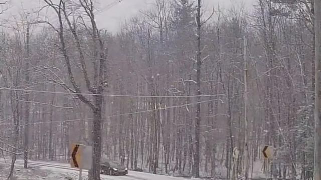 ГОЛОЛЁД