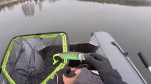 Щука на джерки собственного производства.