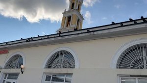 Жизнь после развода