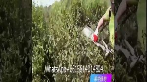 Мощный триммер многофункциональная газонокосилка приобретайте на Алиэкспресс