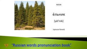 Russian words you need to know, Letter Е-Ё, Russian for beginners, basic russian. Russian language.