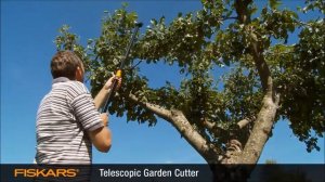 Сучкорезы с телескопической ручкой Fiskars