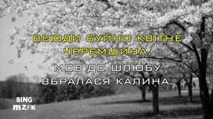 Черемшина (Караоке версія)