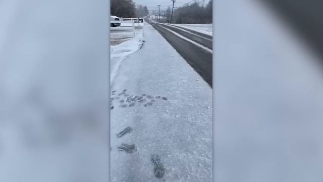 НА КАМЕРУ ПОПАЛ МОМЕНТ, КОТОРЫЙ НЕ МОЖЕТ ОСТАТЬСЯ НЕЗАМЕЧЕННЫМ смотреть онлайн