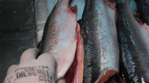 Горбуша ОАА