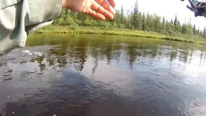 Путешествие по Кольскому полуострову. Часть шестая. Река Афанасия.