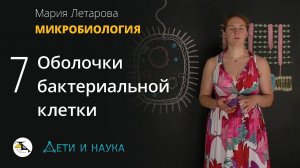 7. Оболочки бактериальной клетки. Микробиология 10 - 11 класс