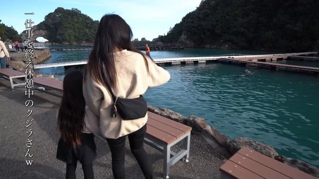 【和歌山#3 車中泊】本州最南端へ行き、市場で地産地消の旅｜キャンピングカー 車中泊｜うーちゃんねる