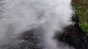 Жизнь вдали от цивилизации день второй