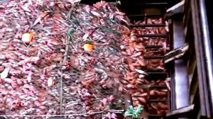 Самый Большой Улов в Мире. Рыбалка. Океан. Вот Это РЫБАЛКА!!!