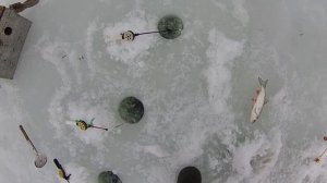 Рыбалка в глухозимье на реке Хопер