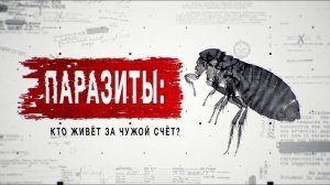 Паразиты: кто живет за чужой счет? - Засекреченные списки