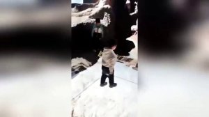ЛУЧШИЕ ПРИКОЛЫ 2024 угар до слез тест на психику мемы смешные видео попробуй не засмеяться coub #48