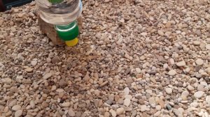 В пруду все должно быть красиво | Декорирую скиммер | ПРУД ПРУДИ