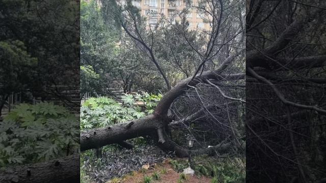 Последствия тайфуна Бебинка в Китае супер тайфун Китай происшествия катастрофы