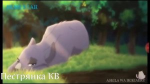 Клип коты воители//Grrls//Пестролистая и Синяя звезда?