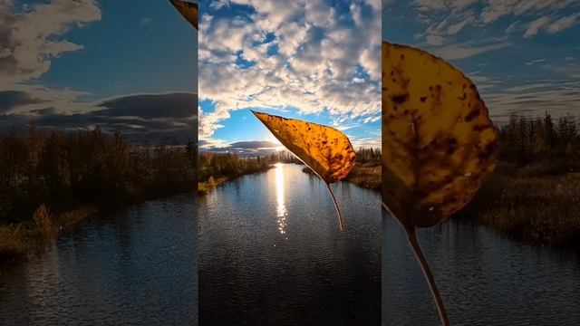 С 1 сентября, а скоро третье )
...я календарь переверну и снова третье сентября.. .