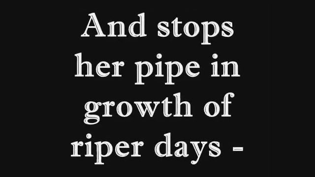 Sonnet 102.wmv смотреть онлайн