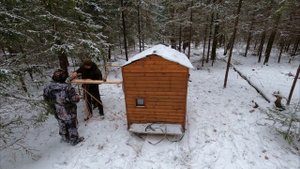 ЛЕСНАЯ ИЗБА на ЛЫЖАХ ГОД СПУСТЯ - СТАВИМ МЕГА ЛЫЖУ | БУШКРАФТ и Жизнь в ЛЕСУ - Лесные