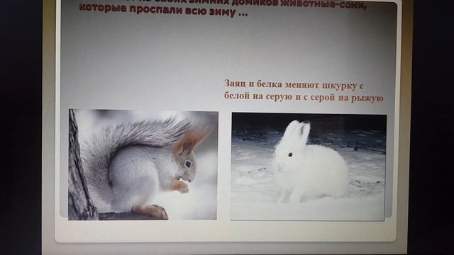 Логопедическое занятие для детей дошкольного и младшего школьного возраста по теме "Весна". смотреть онлайн