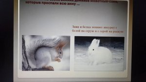 Логопедическое занятие для детей дошкольного и младшего школьного возраста по теме "Весна".