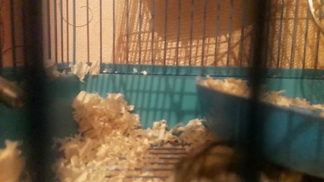 Неудача на даче смотреть онлайн