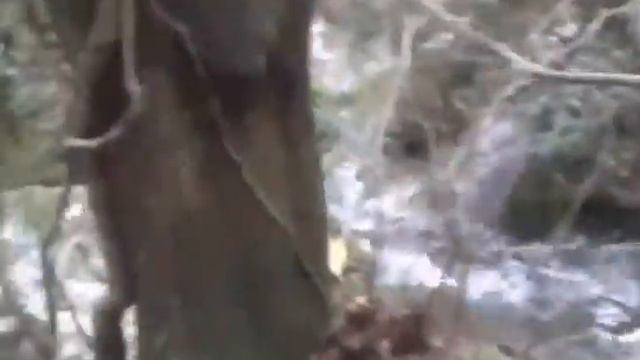 К истоку реки Хаста-Баш смотреть онлайн