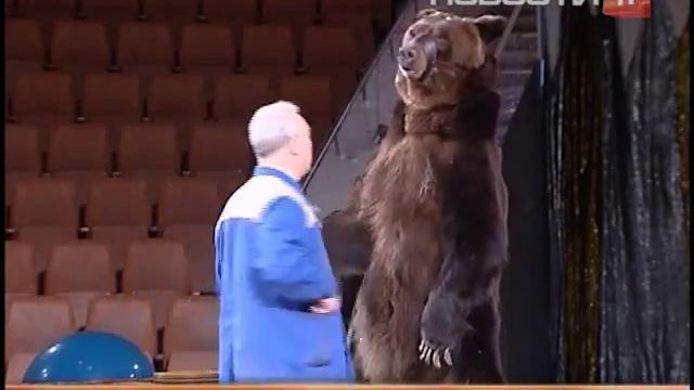 Обновления в программе "Империя львиц" смотреть онлайн