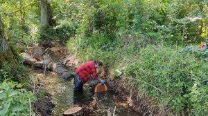 Manual Removal Of A Fallen Tree And Clearing The Stream No.29