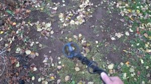 XP Gold Maxx Power Тест на  полигоне! Хорошие результаты