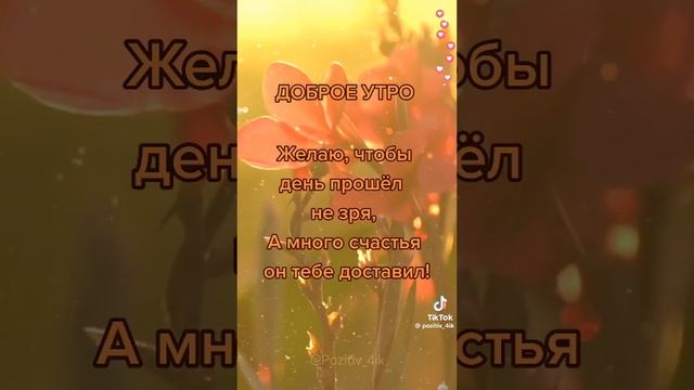 Всем Доброе утро