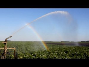 Разнообразие спринклеров Nodolini Sprinklers