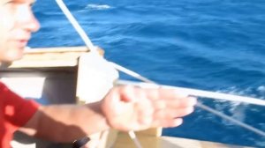 Швертбот "Креветка"