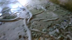 Заброшенный детский лагерь "Звёздный"