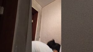 Оклейка стен обоями(виниловые на бумажной основе)