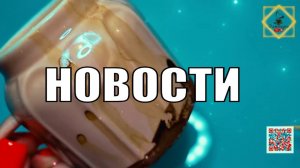 НОВОСТИ ЛЮДИСИТУАЦИИ НЕДЕЛЬКИ #ответуолятаро #youtubeshorts #olgabo666888999