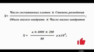 Подсчёт эритроцитов и лейкоцитов в камере Горяева