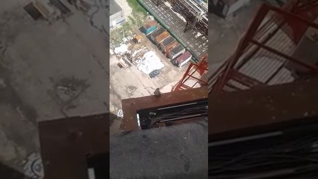 Гнездо Ястреба в высотке Москвы