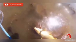 Рыбалка луком БоуФишинга /Bowfishing