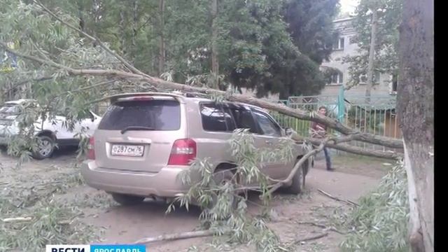 В Ярославле на машину упало дерево смотреть онлайн