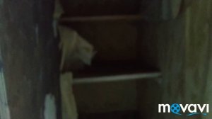 Заброшенный посёлок Алыкель. 06.07.2019