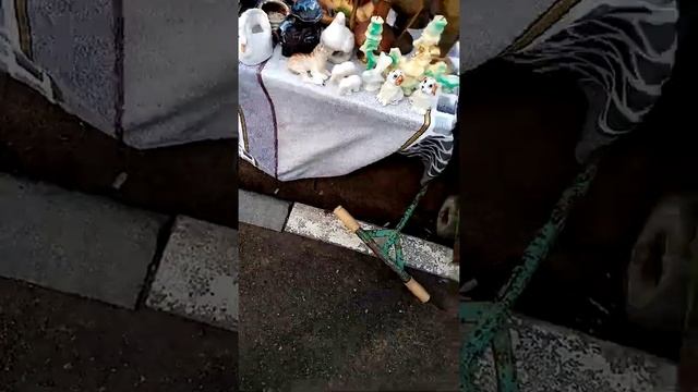 Прогулка по барахолке в Новомосковске