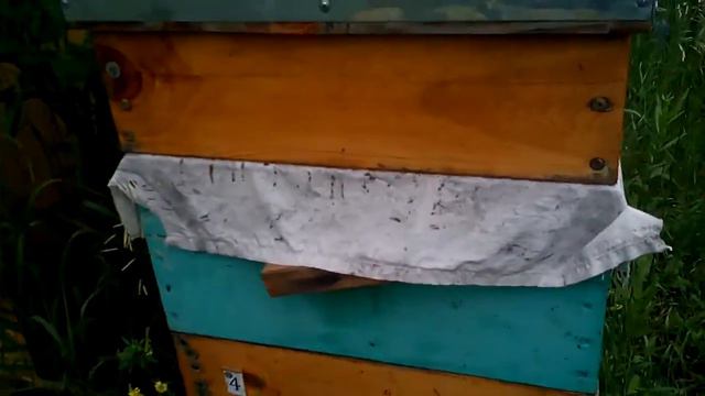 Пчёлы на садовом участке № 9 смотреть онлайн