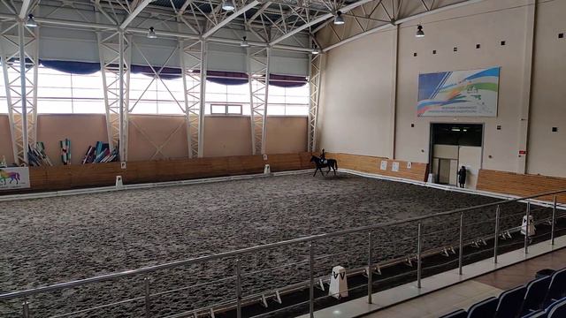 15.03.2020 Элементарная езда для начинающих всадников. Галимова Милана смотреть онлайн