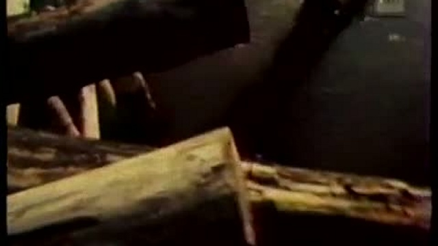 Отрывок д/ф 
