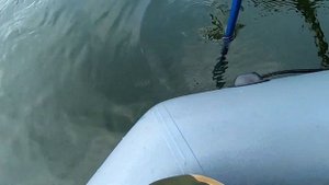 Как поймать трофейного карпа / Выбор места