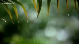 You & Me Relaxing Piano Music & Soft Rain Sounds For Sleep & Relaxation